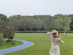 -宜兴龙背山森林公园