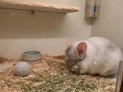 -龙猫仔乐园(惠福东路店)