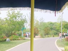 -昆山城市生态森林公园