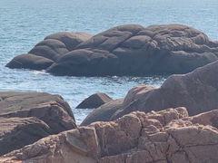 -燕儿岛山公园