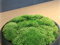 -粤海喜来登酒店·&More聚驿(天河城店)