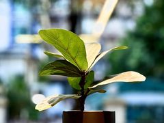-TOP健身私教工作室(侨香店)