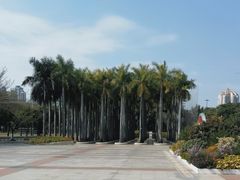 -深圳国际园林花卉博览园