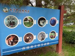 -青藏高原野生动物园