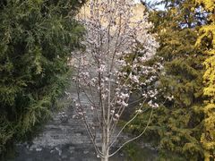 -东华门大街小区