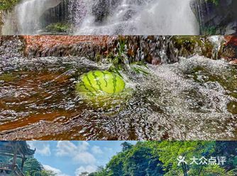 太热了,我要来天台山避暑了☞