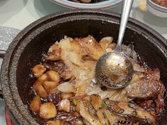 -海派美食·家宴海鲜青岛菜·石锅鲽鱼头(东方城店)