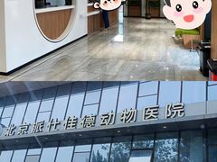 -北京派仕佳德动物医院·超导核磁·CT·神经科·骨科·内外科·急重症管理中心