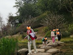 -云溪植物园