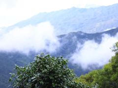 -梧桐山风景名胜区