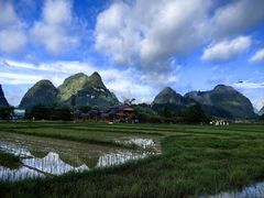-靖西鹅泉风景区