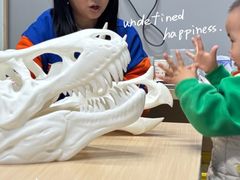 -斯坦星球AI编程·机器人科创·乐高科学·信奥·思维·专注力·STEM·竞赛考级(高新区绿宝广场龙湖狮山天街学习中心)