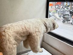 -漆黑觉米粉(三里屯店)