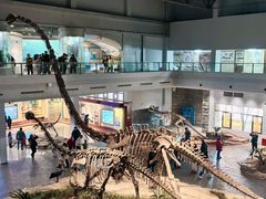 -自贡恐龙博物馆