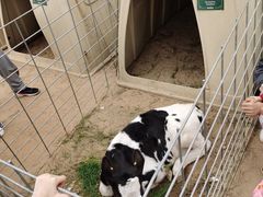 -君乐宝优致牧场