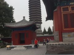 -西海子公园