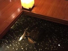 -松子料理(亮马桥店)