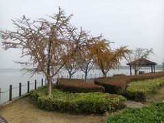 -阳澄湖半岛旅游度假区