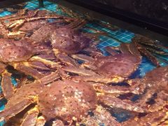 -忆江南·临江鱼馆