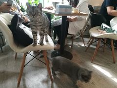 -小时光咖啡馆(北锣鼓巷店)