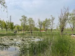 -永定河休闲森林公园