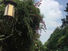 -铁路文化公园