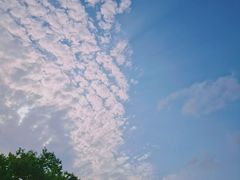 -新江湾城公园