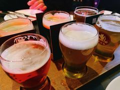 -Boxing Cat Brewery拳击猫精酿啤酒馆(永福店)
