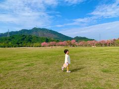 -风云岭森林公园