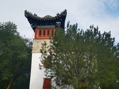 -老三羊汤【北兴隆街店】