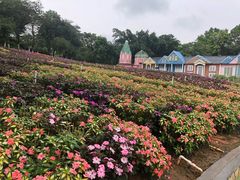 -松山湖梦幻百花洲