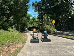 -圣淘沙天际线斜坡滑车