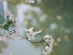 -徐家汇公园