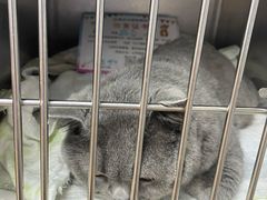 -爱侣宠医·鹦鹉专科·小型哺乳类·异宠专科(灵石路店)