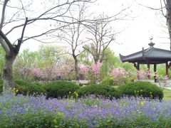 花海-堤角公园