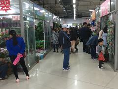 -无锡文化工艺品市场(槐古路店)