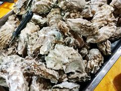 -鲤鱼塘农家山庄