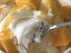 -杨小贤芒果绵绵冰(南门口店)
