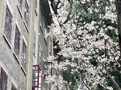 -武汉大学-樱园