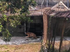 -深圳野生动物园