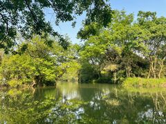 -西溪国家湿地公园