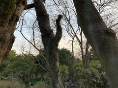 -秋霞圃