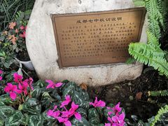 -成都七中(林荫校区)