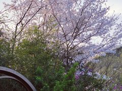-杭州城北体育公园