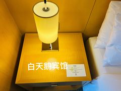 -广州白天鹅宾馆