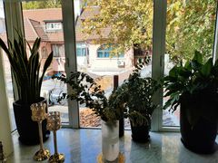 -蝶舍·MAISON PAPILLON