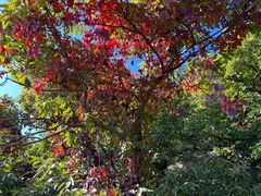 -天津盘山风景名胜区