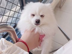 -怪兽屋·羊驼·猫咖·狗咖(俊华广场店)