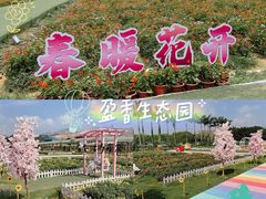 -盈香心动乐园