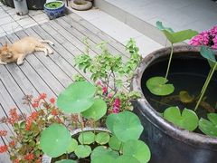 -默迹咖啡馆